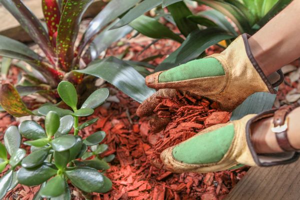 Residential Mulching in Woodland Hills
