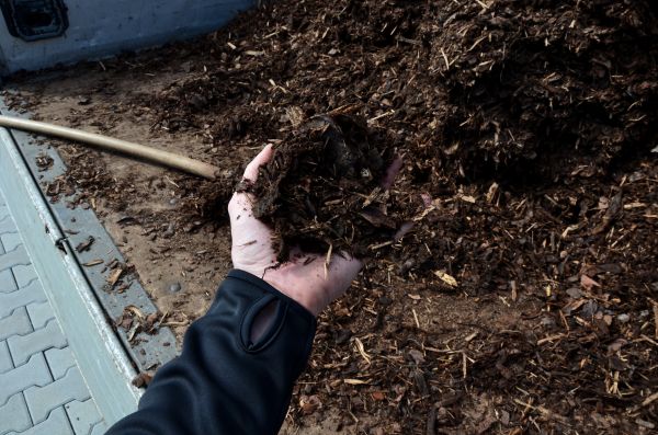 Condo Mulching in Woodland Hills